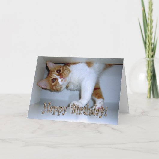子猫が落ちてきた - お誕生日おめでとう！ カード (正面)