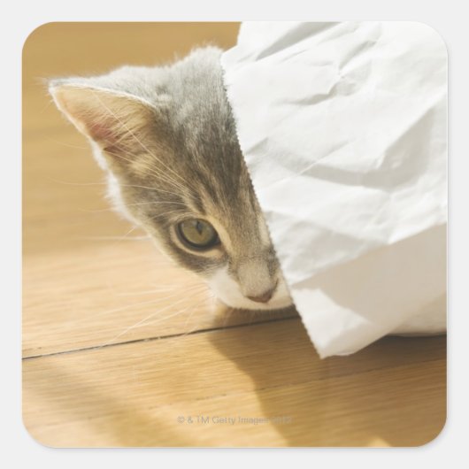 子猫が隠れている紙バッグ スクエアシール (正面)