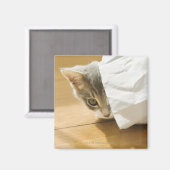 子猫が隠れている紙バッグ マグネット (正面/裏面)