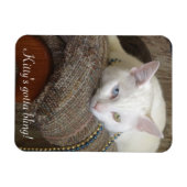 子猫きらきら光るフォト磁石 マグネット (横)