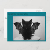 子猫こうもり ポストカード (正面/裏面)