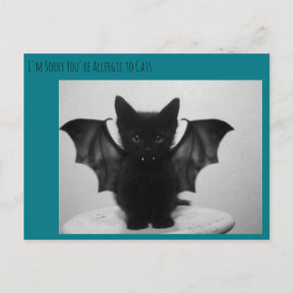 子猫こうもり ポストカード