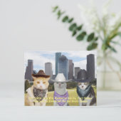 . .子猫たちが登山客を見たいと思う ポストカード (スタンド正面)