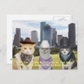 . .子猫たちが登山客を見たいと思う ポストカード (正面/裏面)