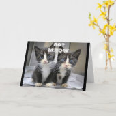 子猫たちは、あなたが「80」の誕生日カードだと思えない カード (黄色い花)