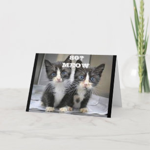 子猫たちは、あなたが「80」の誕生日カードだと思えない カード