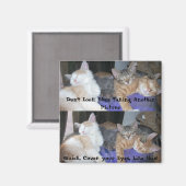 子猫たち – 別名ザ・ボーイズ – おもしろい写真 マグネット (正面/裏面)