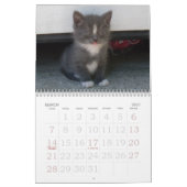 子猫ちゃん子猫ちゃん！カレンダー カレンダー (3月 2027)
