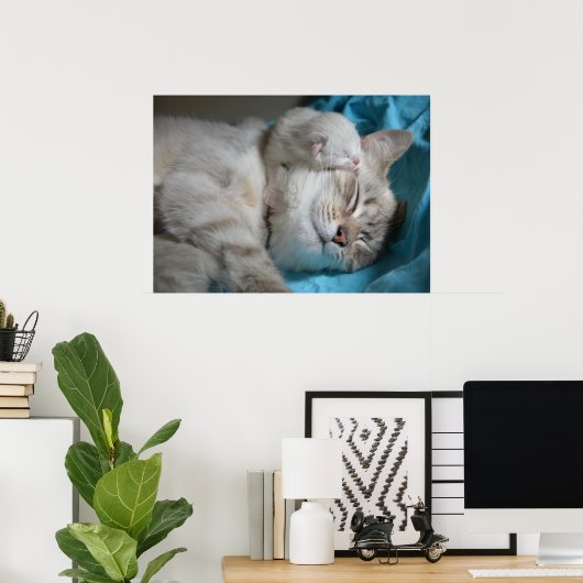 子猫とお母さん ポスター (ホームオフィス)