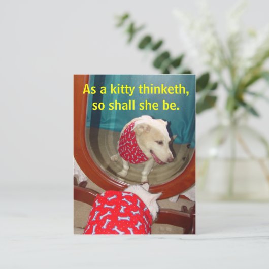 子猫として… ポストカード (スタンド正面)