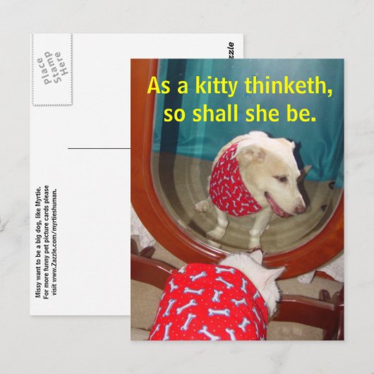 子猫として… ポストカード (正面/裏面)