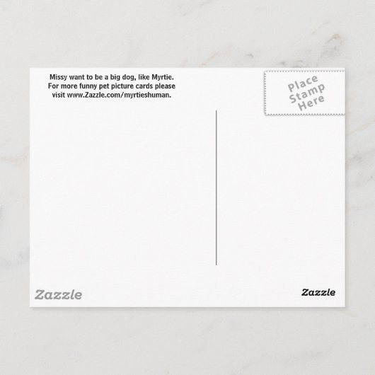 子猫として… ポストカード (裏面)