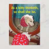 子猫として… ポストカード (正面)