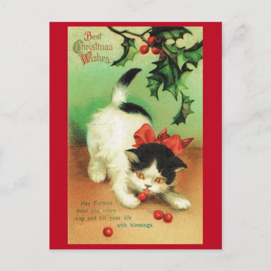 子猫とクリスマス・ホリー ポストカード (正面)