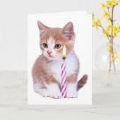 子猫とピンクのロウソク カード (黄色い花)