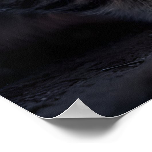 子猫とフクロウのポスター - ファンタジーあふれる森の仲間たちのアート ポスター (角)