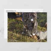 子猫とムーシー共有Aミール ポストカード (正面/裏面)