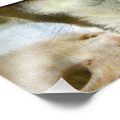 子猫とヤギの友人 フォトプリント            (角)