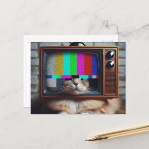 子猫とヴィンテージTV顔 ポストカード