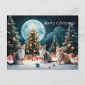 子猫と一緒に楽しめるクリスマスナイト ポストカード (正面)