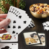 子猫と子犬のフォトアートトランプ トランプ (インサイチュ)