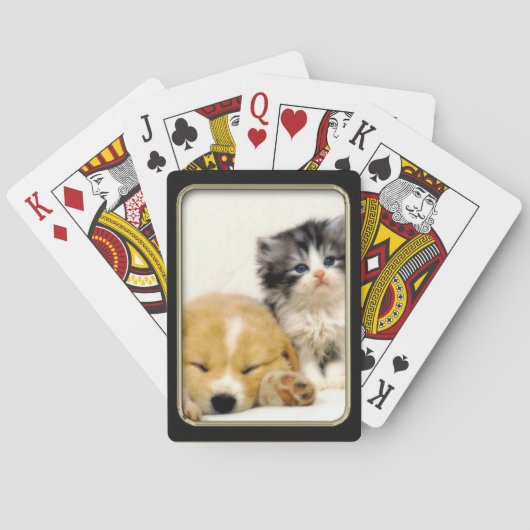 子猫と子犬のフォトアートトランプ トランプ (裏面)