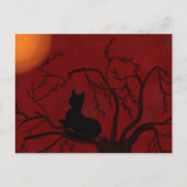子猫と月 ポストカード (正面)