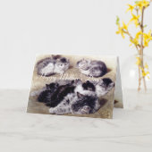 子猫と母の日 カード (黄色い花)