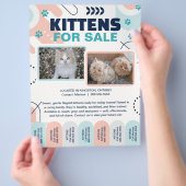 子猫と猫の販売用チラシテンプレート チラシ (手)