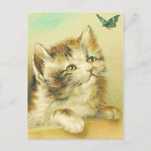 子猫と蝶ヴィンテージ ポストカード (正面)