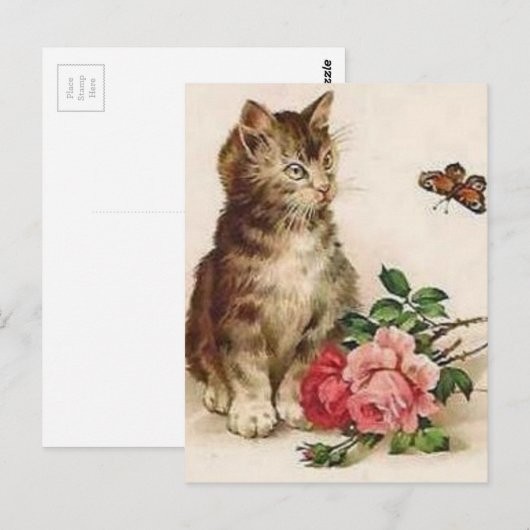 子猫と蝶 ポストカード (正面/裏面)