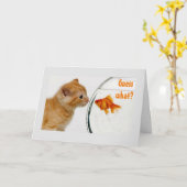 子猫と魚はハッピーバースデー カード (黄色い花)