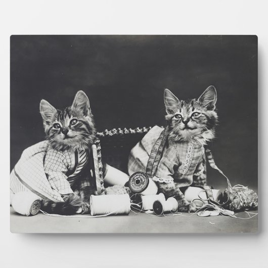 子猫のいたずら1914 フォトプラーク (正面)