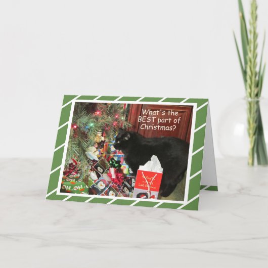 子猫のお気に入りのアイテムのクリスマスカード シーズンカード (正面)