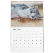 子猫のかわいい姿 2027年 カレンダー ギフト ねこ (3月 2027)
