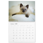 子猫のかわいい姿 2027年 カレンダー ギフト ねこ (1月 2027)
