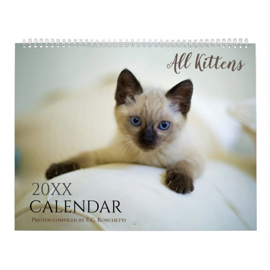 子猫のかわいい姿 2027年 カレンダー ギフト ねこ (カバー)