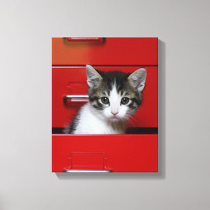 子猫のぞき キャンバスプリント