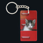 子猫のぞき キーホルダー<br><div class="desc">赤い引き出しの子猫</div>