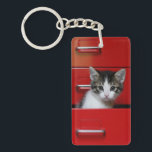 子猫のぞき キーホルダー<br><div class="desc">赤い引き出しの子猫</div>