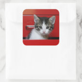 子猫のぞき スクエアシール (バッグ)