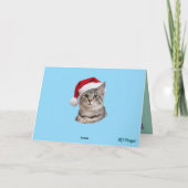 子猫のゆったり乗車 シーズンカード (裏面)