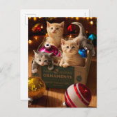 子猫のオーナメントボックス インビテーションポストカード (正面/裏面)