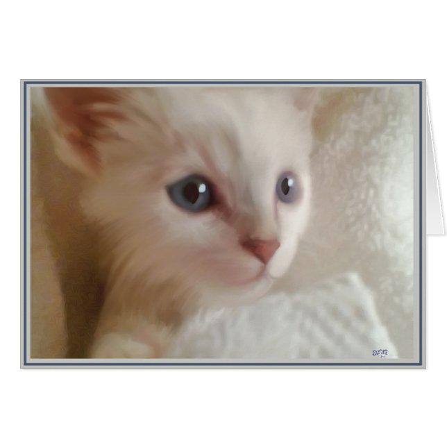 子猫のカード11 (正面横)