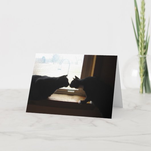 子猫のキスのメッセージカード カード (正面)