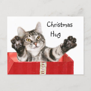 子猫のクリスマスの抱擁 シーズンポストカード