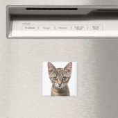 子猫のクローズアップポートレート マグネット (インサイチュ (食洗機))