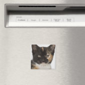 子猫のクローズアップ マグネット (インサイチュ (食洗機))