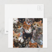 子猫のコラージュ ポストカード (正面/裏面)