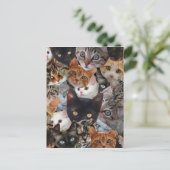 子猫のコラージュ ポストカード (スタンド正面)